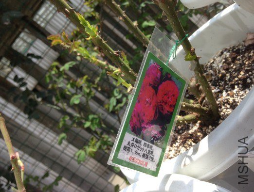 QQ��ͼ20130309123947.jpg
