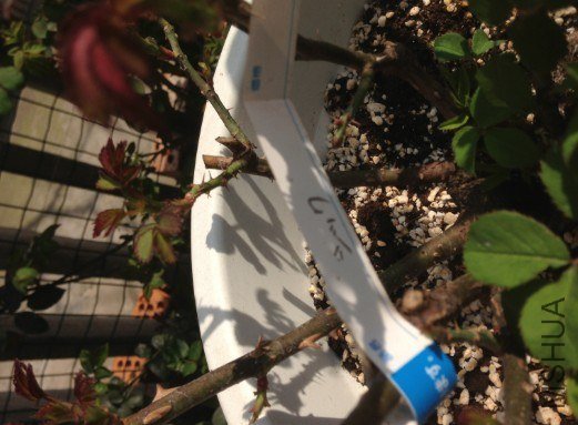 QQ��ͼ20130309123959.jpg