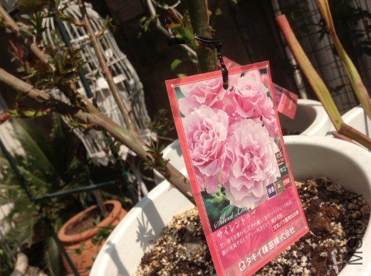 QQ��ͼ20130309124018.jpg