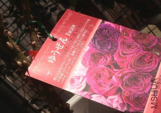 QQ��ͼ20130309124051.jpg