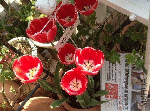 QQ��ͼ20130309124110.jpg