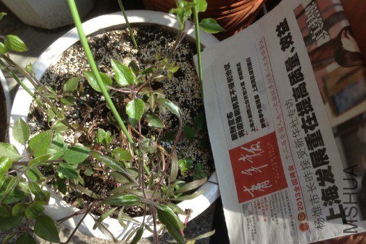 QQ��ͼ20130309124122.jpg