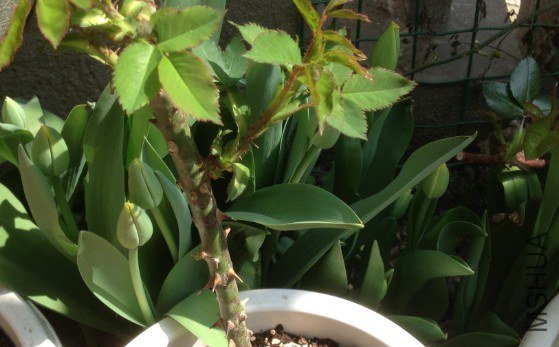 QQ��ͼ20130309124158.jpg