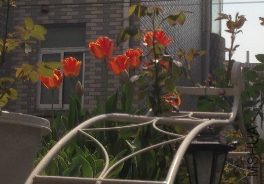 QQ��ͼ20130309124253.jpg