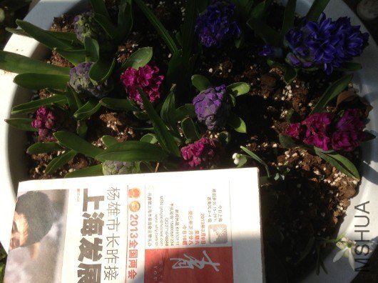QQ��ͼ20130309124320.jpg