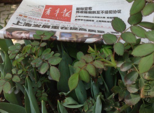 QQ��ͼ20130309124415.jpg