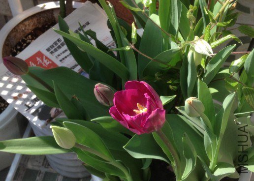 QQ��ͼ20130309124459.jpg