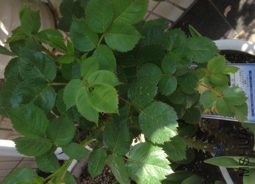 QQ��ͼ20130309124551.jpg