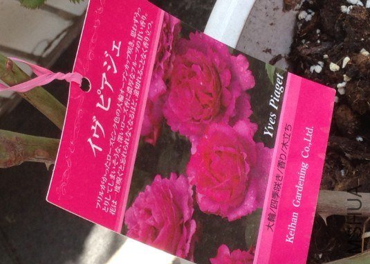 QQ��ͼ20130309124611.jpg
