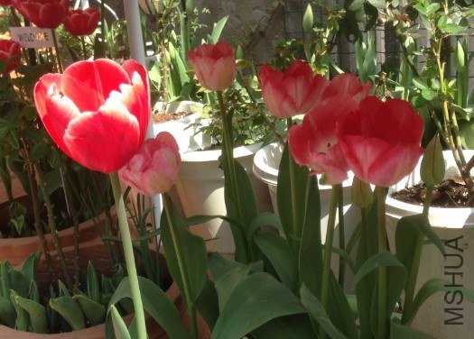 QQ��ͼ20130309124617.jpg