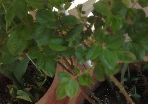 QQ��ͼ20130309124629.jpg