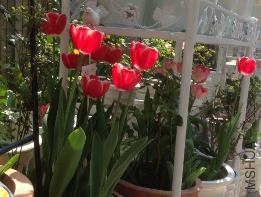 QQ��ͼ20130309124635.jpg