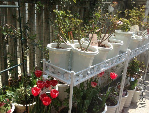 QQ��ͼ20130309124641.jpg