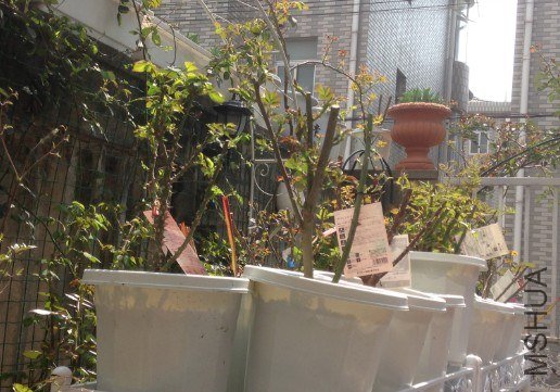 QQ��ͼ20130309124648.jpg