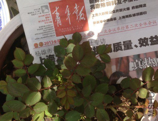 QQ��ͼ20130309124740.jpg