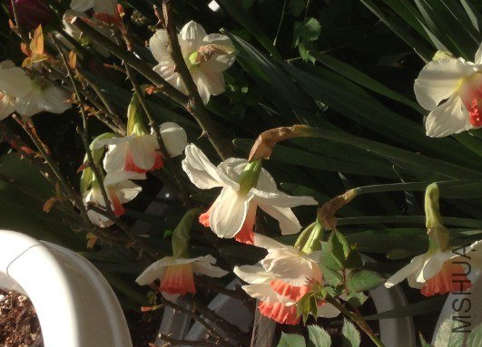 QQ��ͼ20130309124823.jpg