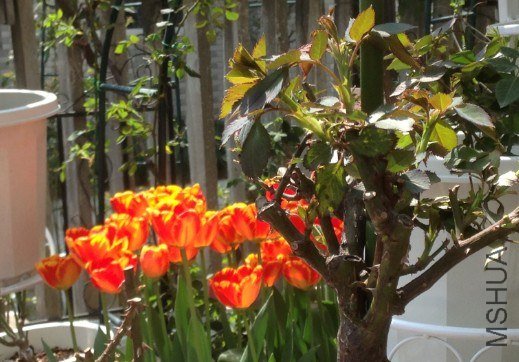 QQ��ͼ20130309124844.jpg
