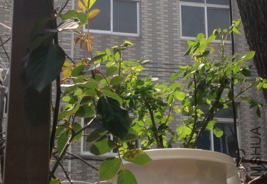 QQ��ͼ20130309124856.jpg