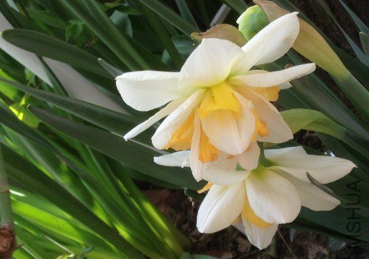 QQ��ͼ20130309124906.jpg