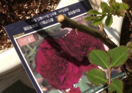 QQ��ͼ20130309124945.jpg