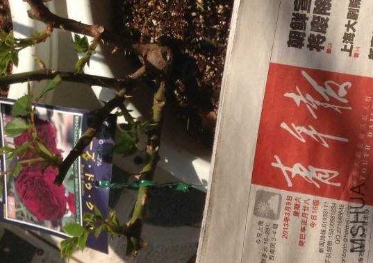 QQ��ͼ20130309124950.jpg