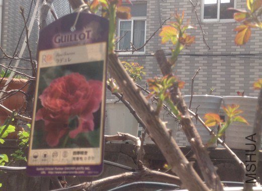 QQ��ͼ20130309125107.jpg