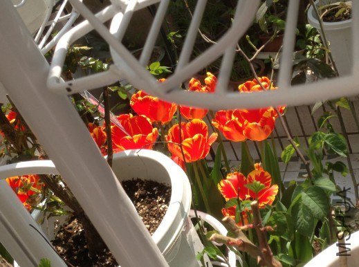 QQ��ͼ20130309125117.jpg