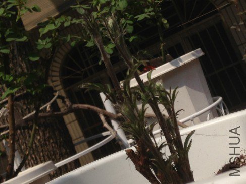 QQ��ͼ20130309125123.jpg