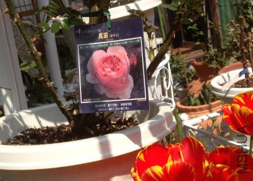 QQ��ͼ20130309125129.jpg