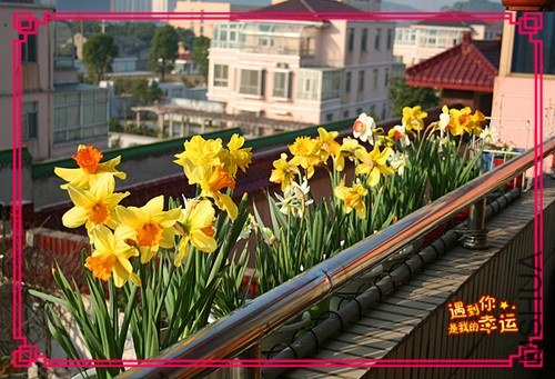 ��Ƭ 012_����.jpg