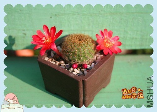 ��Ƭ 042_����.jpg