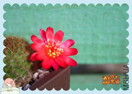 ��Ƭ 044_����.jpg