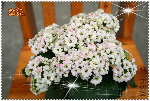 ��Ƭ 049_����.jpg