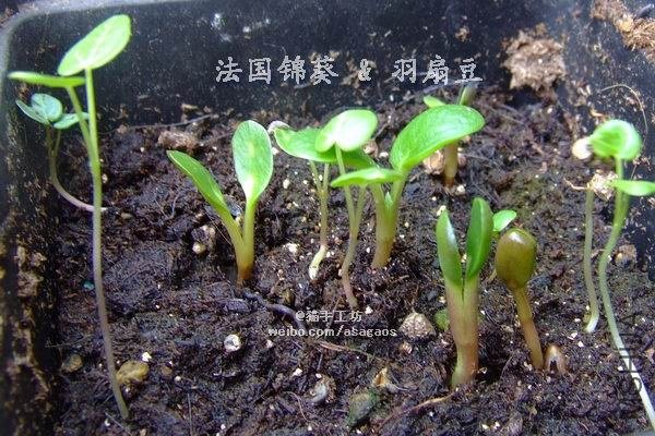 �������� ���ȶ�2013-0222(004).jpg