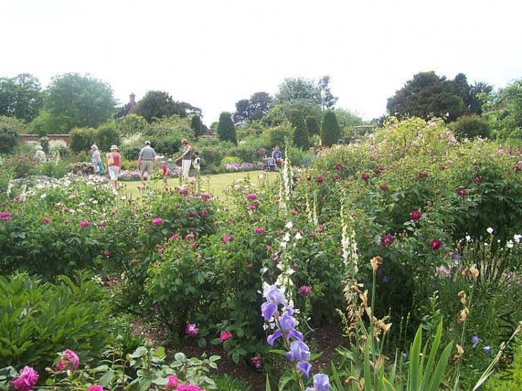 800px-Mottisfont_Rose_Garden.jpg