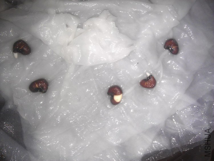 3��9������ʮ������