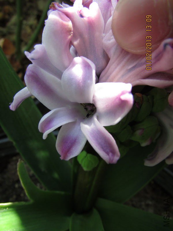 IMG_1809_nEO_IMG.jpg