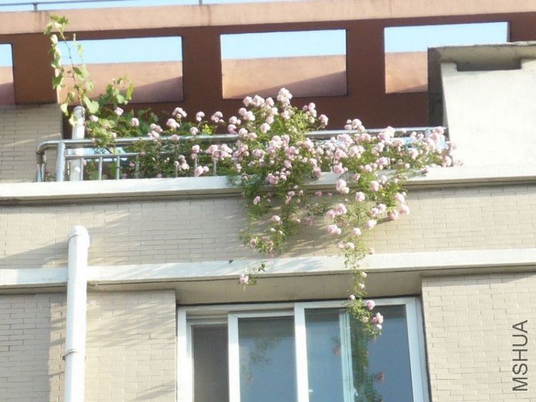 �Ҽ������Ч��