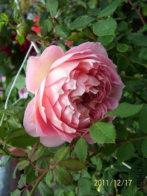 �������5 of zjaabing .jpg