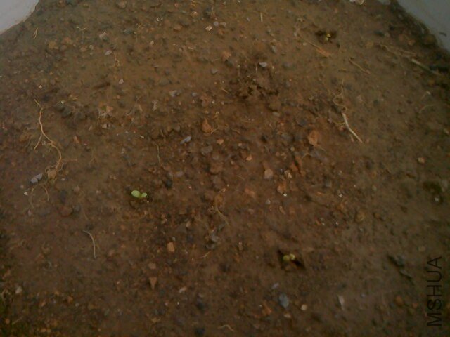 IMG0310101201.jpg
