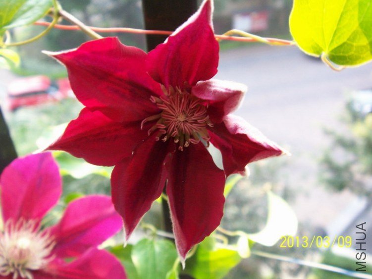 100_7907.JPG