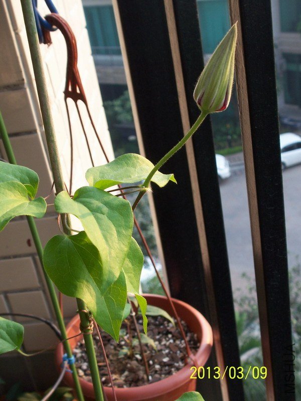 100_7922.JPG