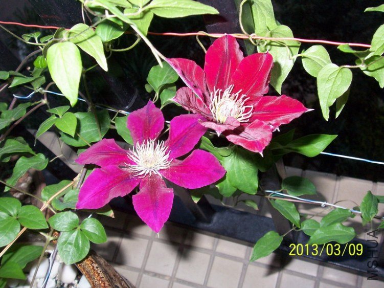 100_7939.JPG