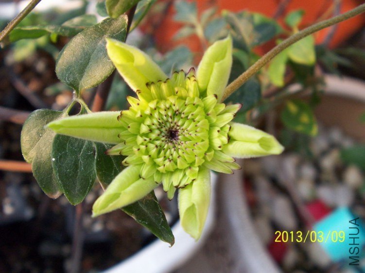 100_7914.JPG