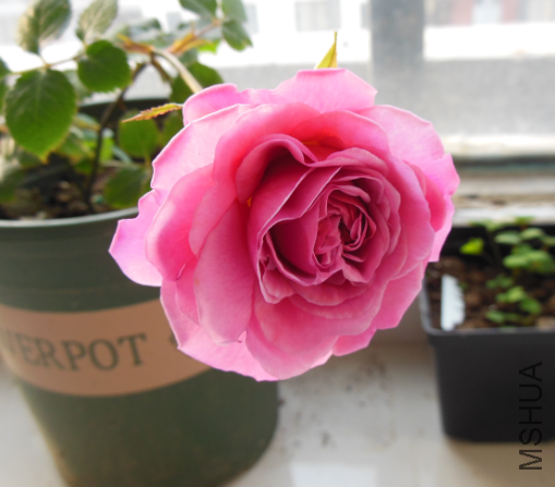 QQ��ͼ20130308074755.png