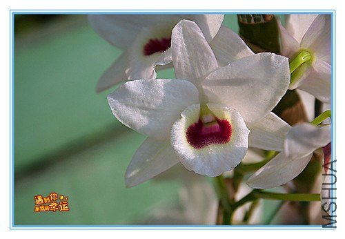 ��Ƭ 010_����.jpg