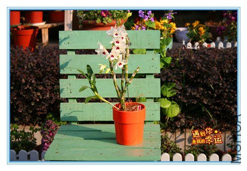 ��Ƭ 001_����.jpg