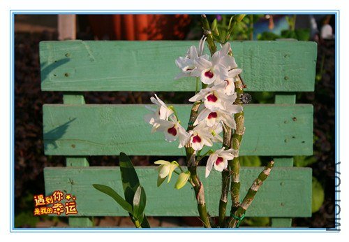 ��Ƭ 003_����.jpg