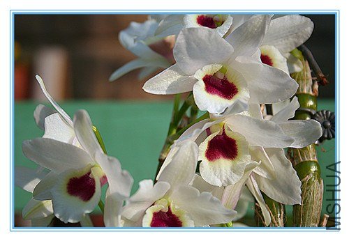 ��Ƭ 006_����.jpg