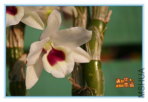 ��Ƭ 008_����.jpg